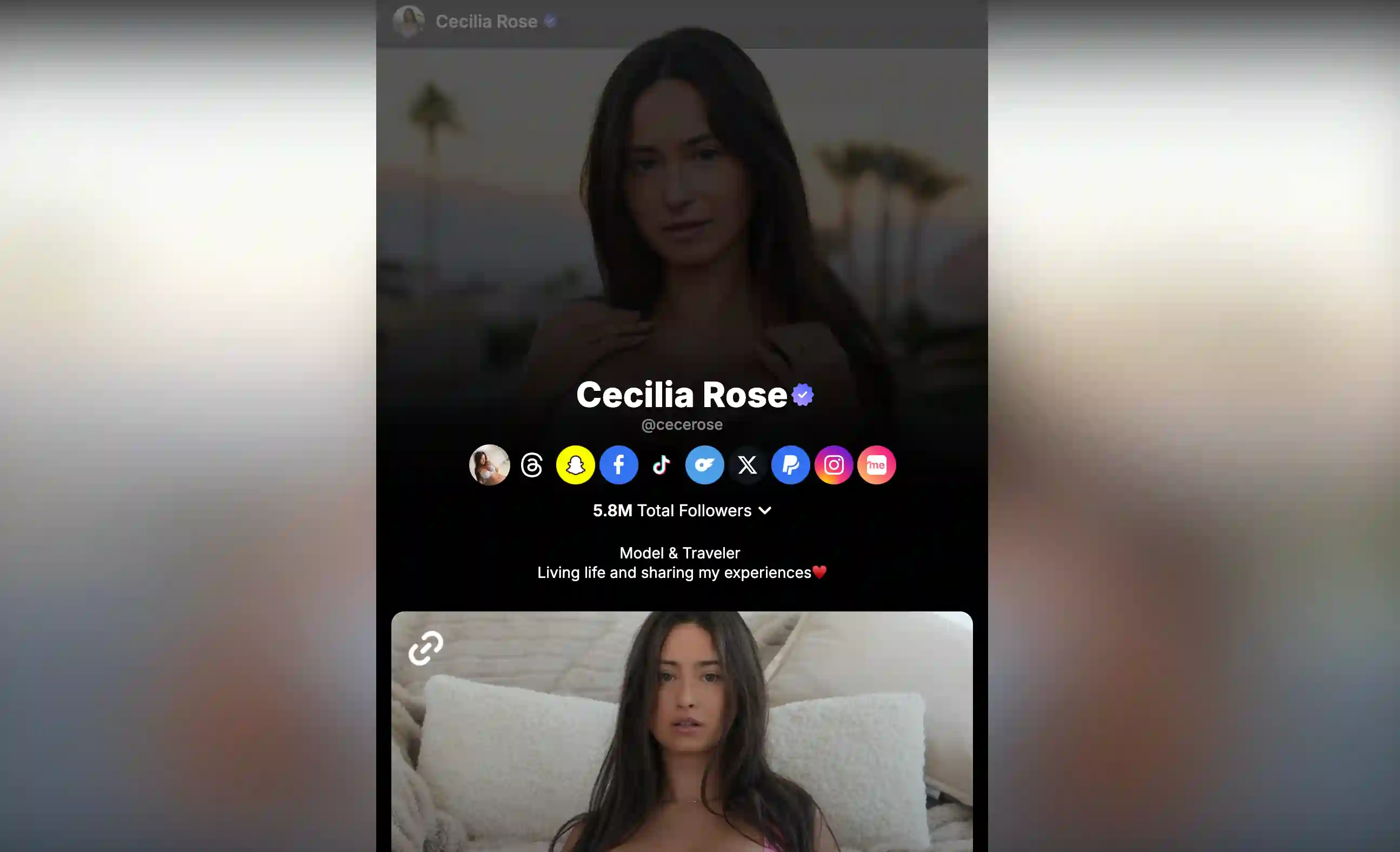 Link.me Scraper screenshot