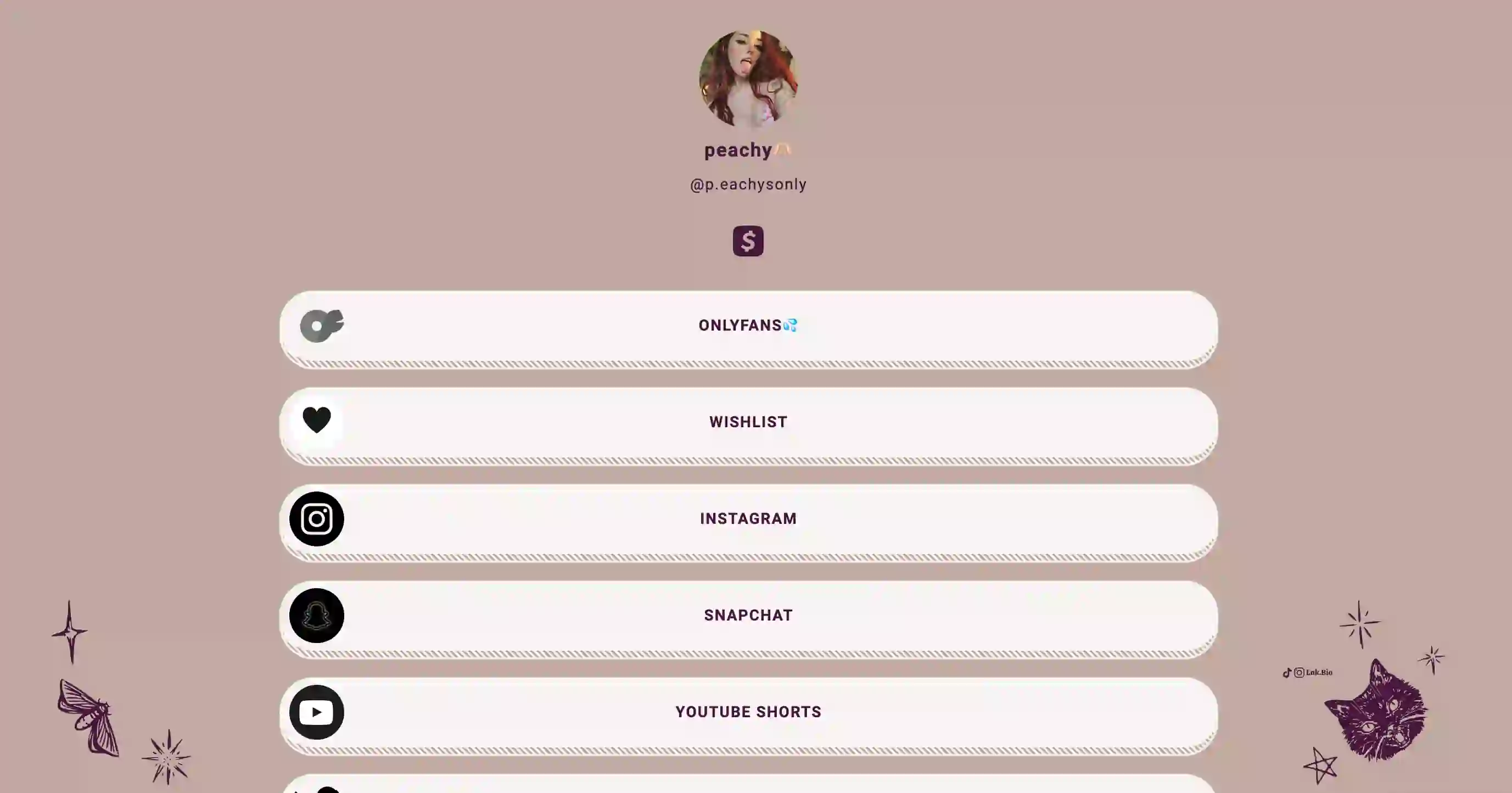 Lnk.bio Scraper screenshot